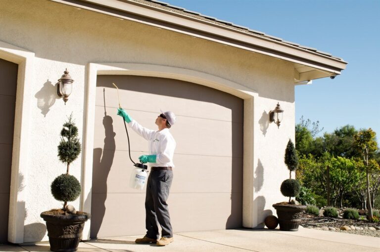 Long Beach Pest Control: Protecting Your Home And Business From Unwanted Guests