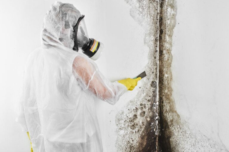 Breathe Easy Again: Mold Restoration Company’s Effective Solutions